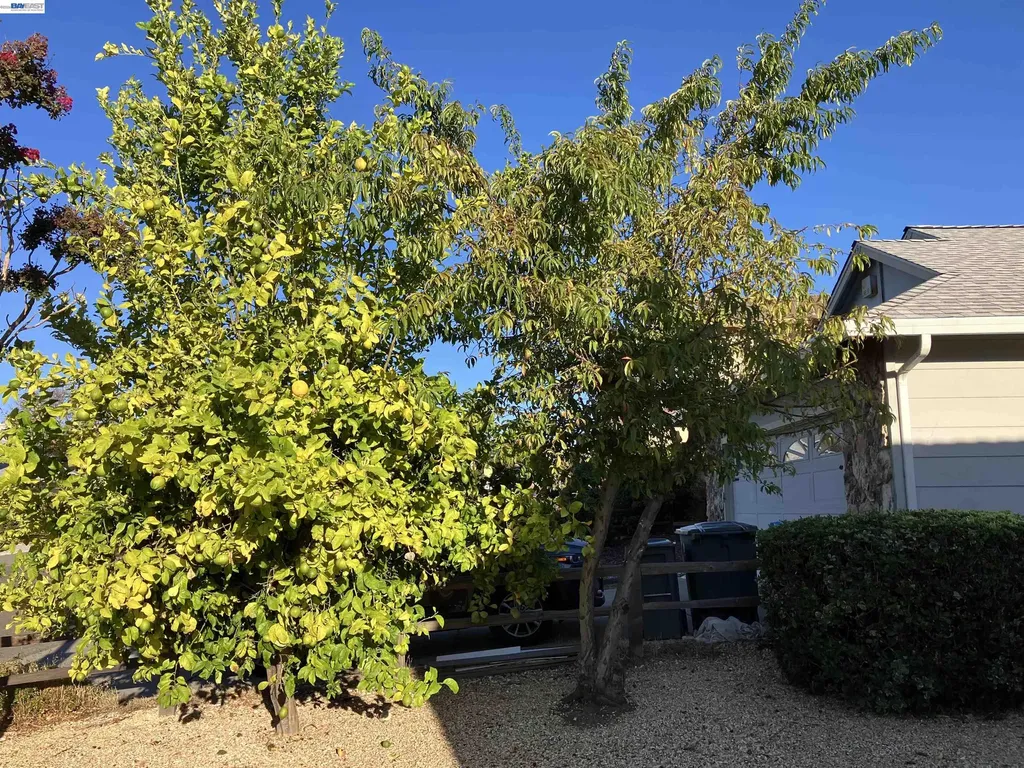 181 Yachtsman Drive Vallejo CA 94591