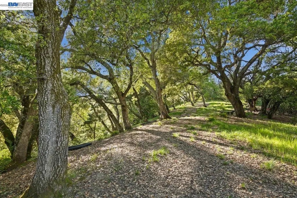 0 Silverwood Drive Lafayette CA 94549