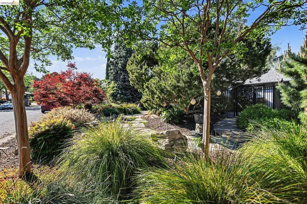 5849 Mitchell Canyon Court Clayton CA 94517