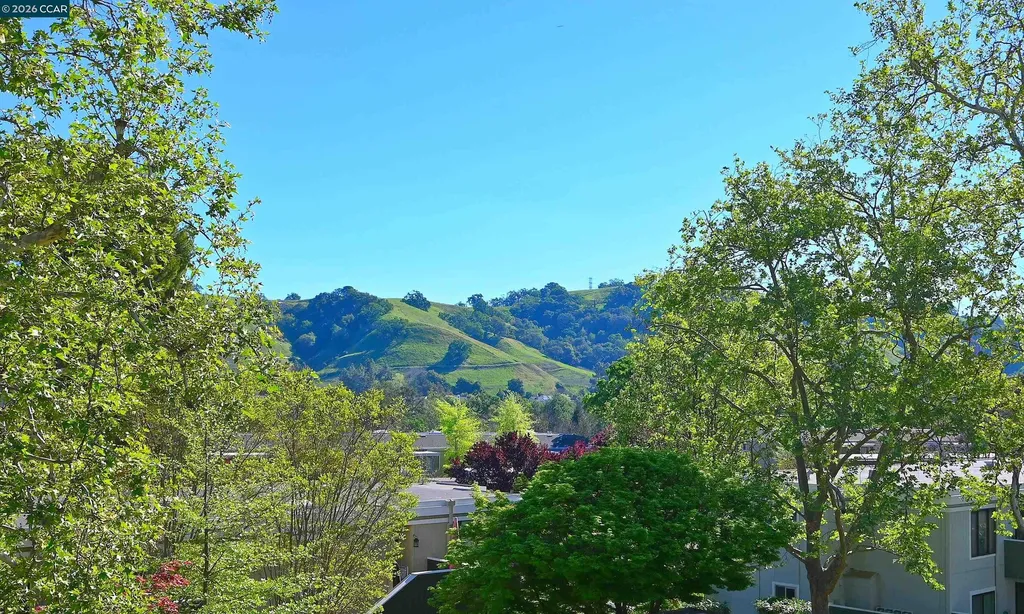 1160 Singingwood Court #5 Walnut Creek CA 94595