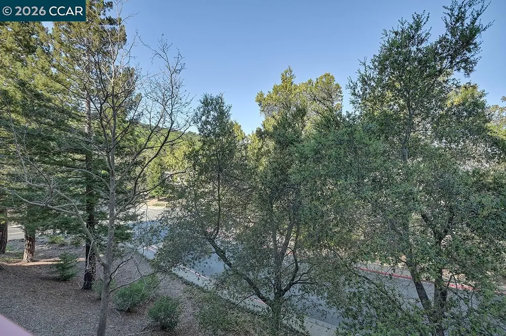 5913 Horsemans Canyon Drive Walnut Creek CA 94595