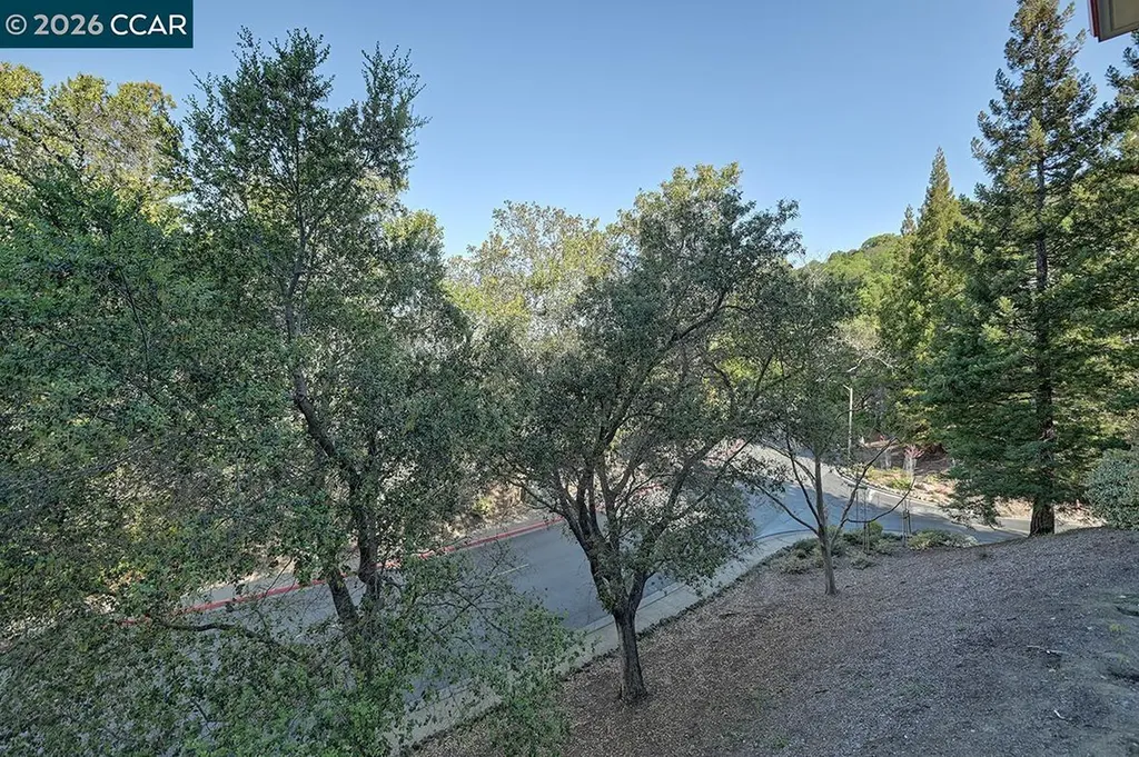 5913 Horsemans Canyon Drive Walnut Creek CA 94595