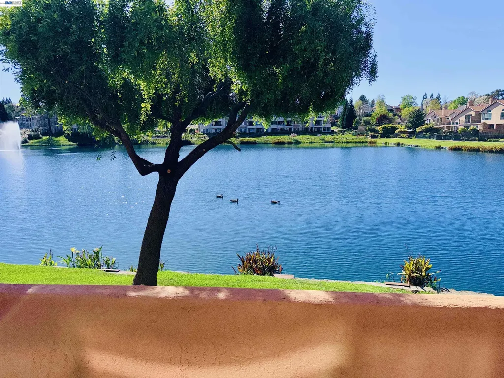 4063 Lakeshore Drive San Ramon CA 94582