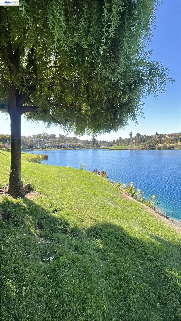 4063 Lakeshore Drive San Ramon CA 94582