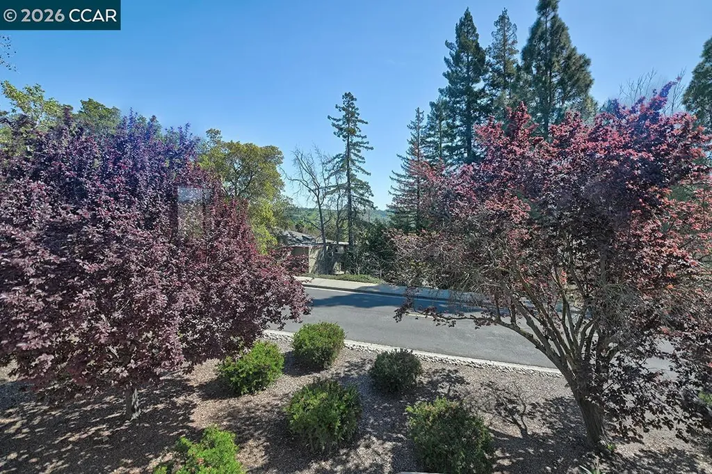 1312 Skycrest Drive Walnut Creek CA 94595