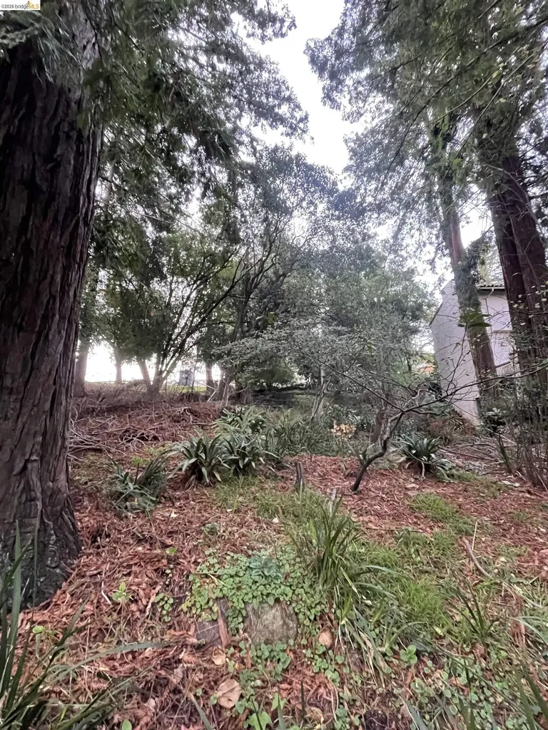 962 Regal Road Berkeley CA 94708