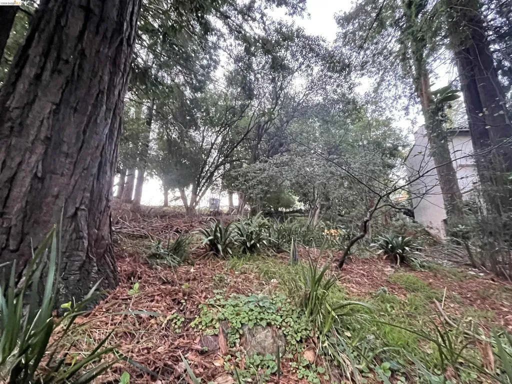 962 Regal Road Berkeley CA 94708