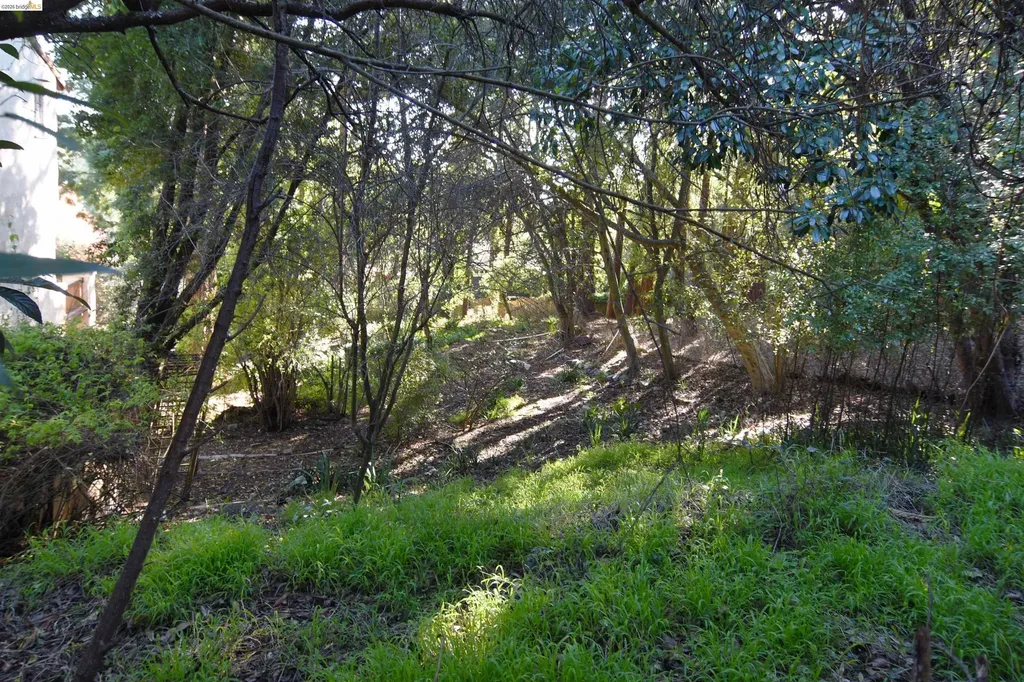 962 Regal Road Berkeley CA 94708