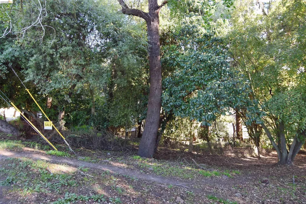 962 Regal Road Berkeley CA 94708