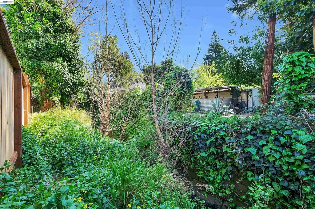 1467 Clay Street Hayward CA 94541