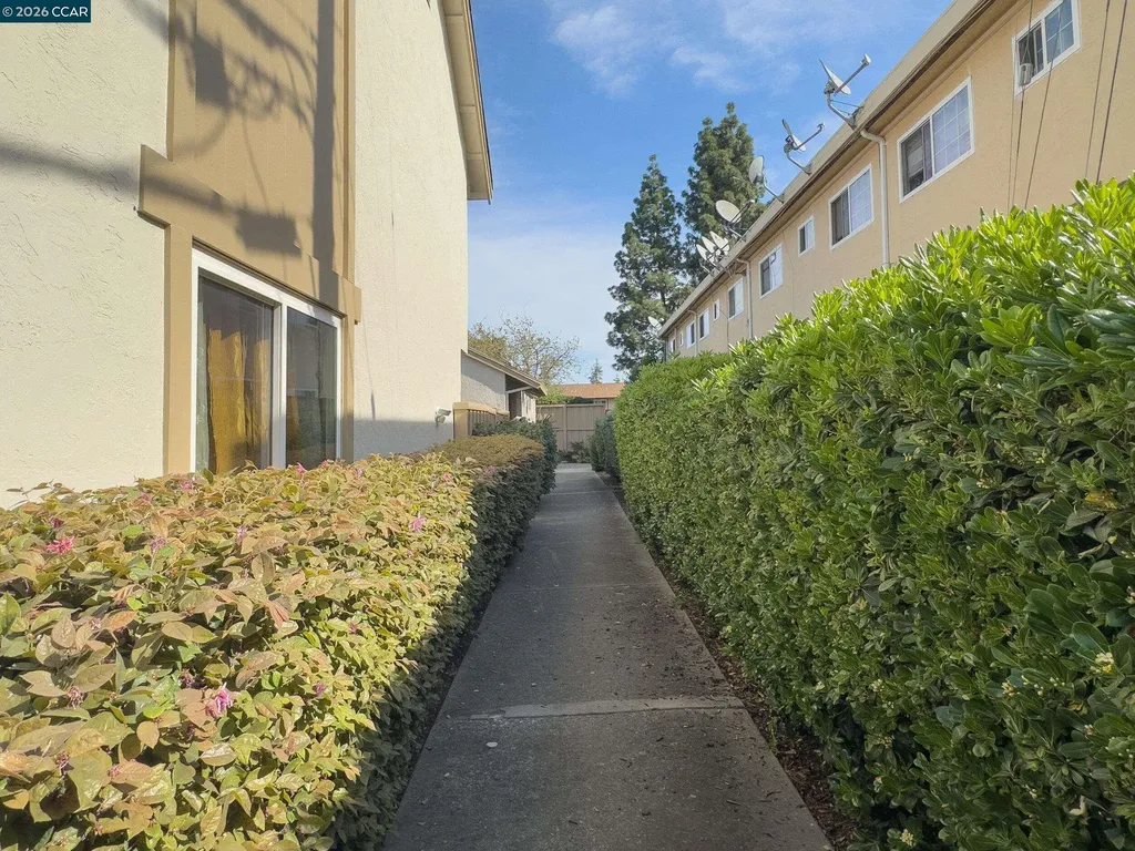 4869 Wolf Way Concord CA 94521