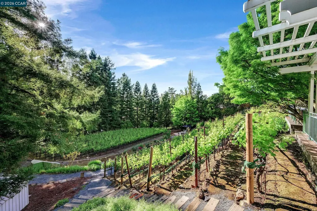 225 Pebble Court Alamo CA 94507