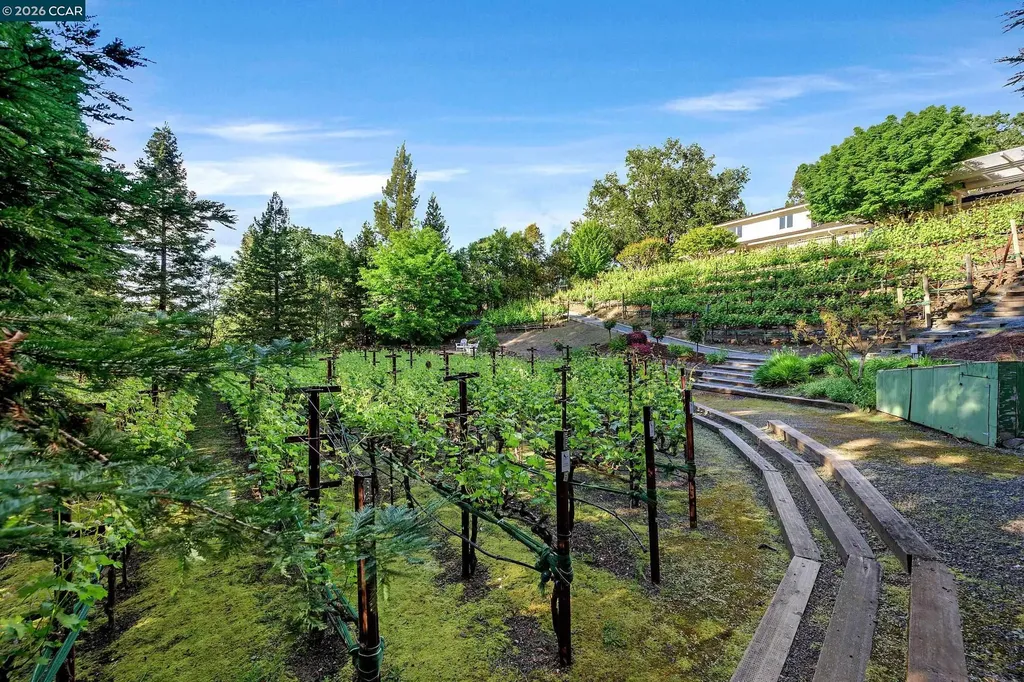 225 Pebble Court Alamo CA 94507