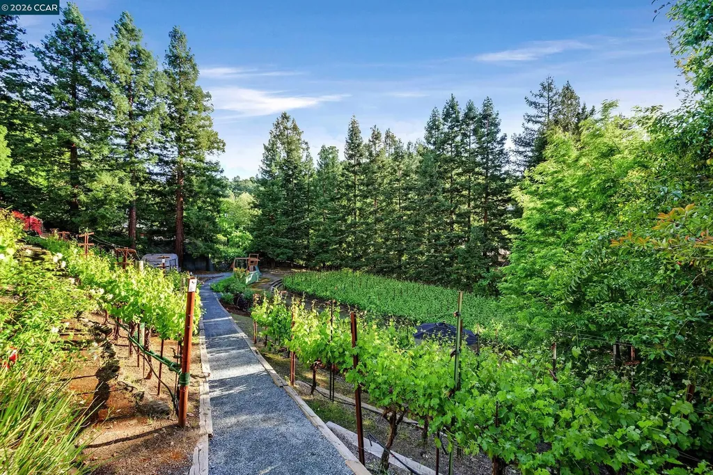 225 Pebble Court Alamo CA 94507