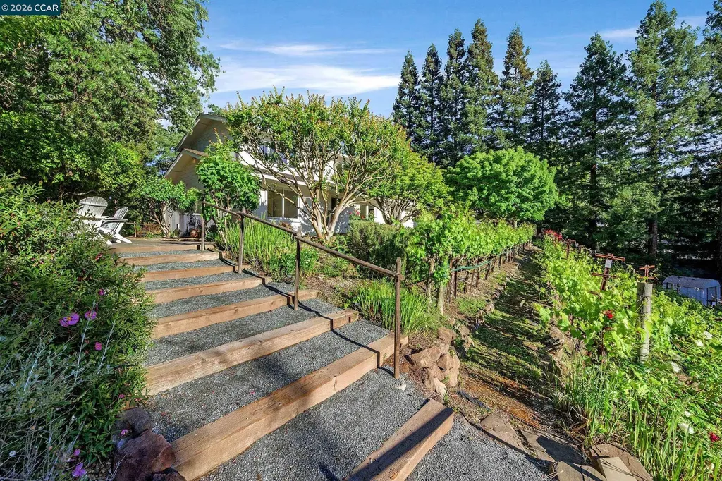 225 Pebble Court Alamo CA 94507