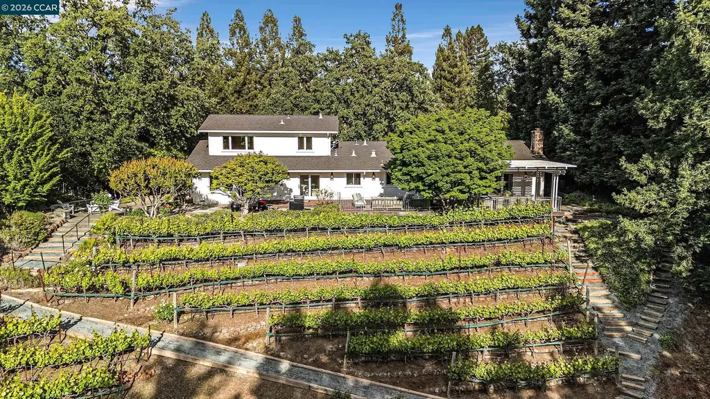 225 Pebble Court Alamo CA 94507