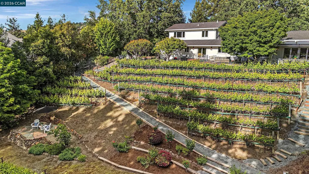 225 Pebble Court Alamo CA 94507