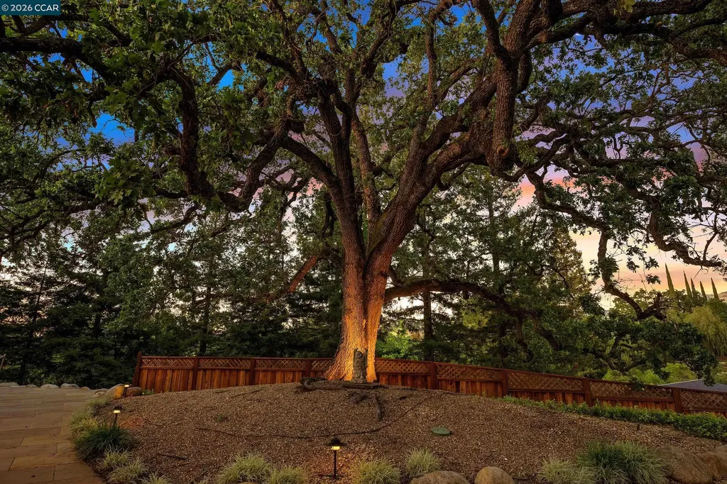 225 Pebble Court Alamo CA 94507