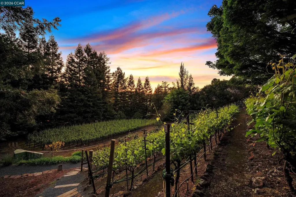 225 Pebble Court Alamo CA 94507