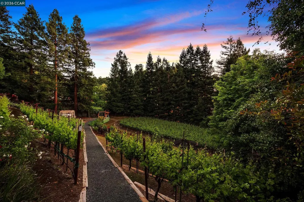 225 Pebble Court Alamo CA 94507