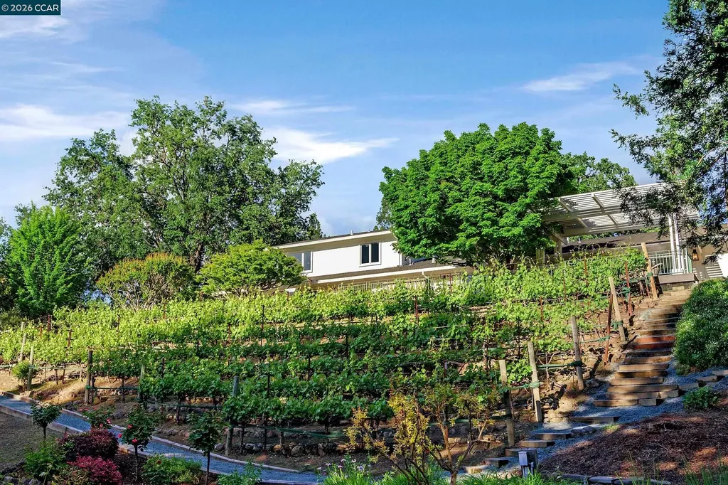 225 Pebble Court Alamo CA 94507