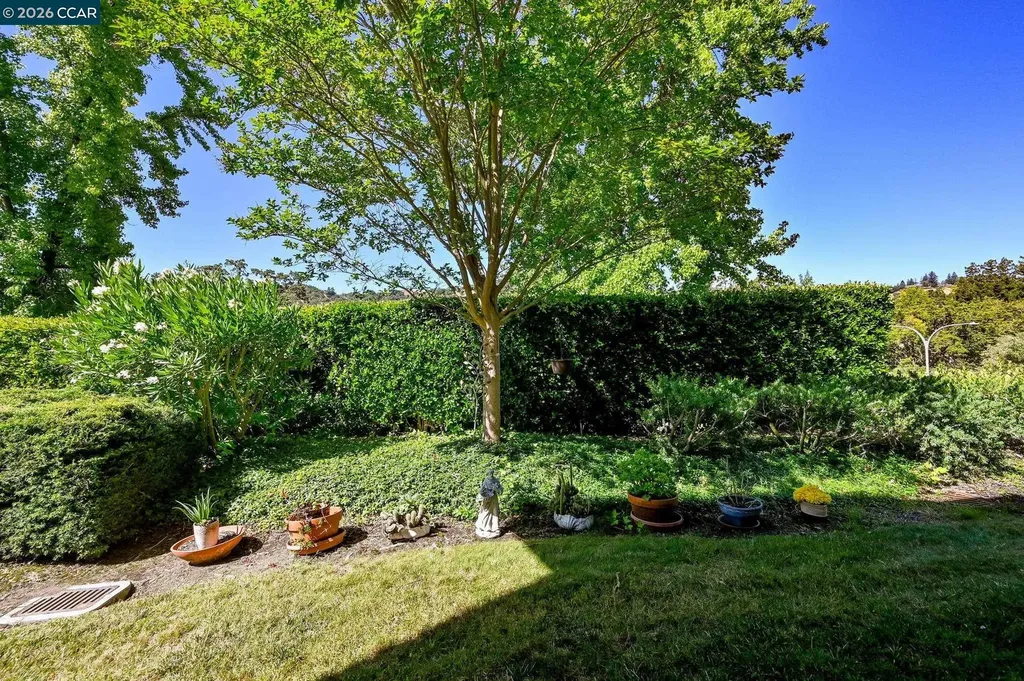 2055 Cactus Court Walnut Creek CA 94595