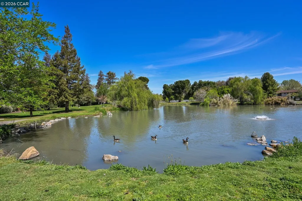 1954 6th Street Concord CA 94519