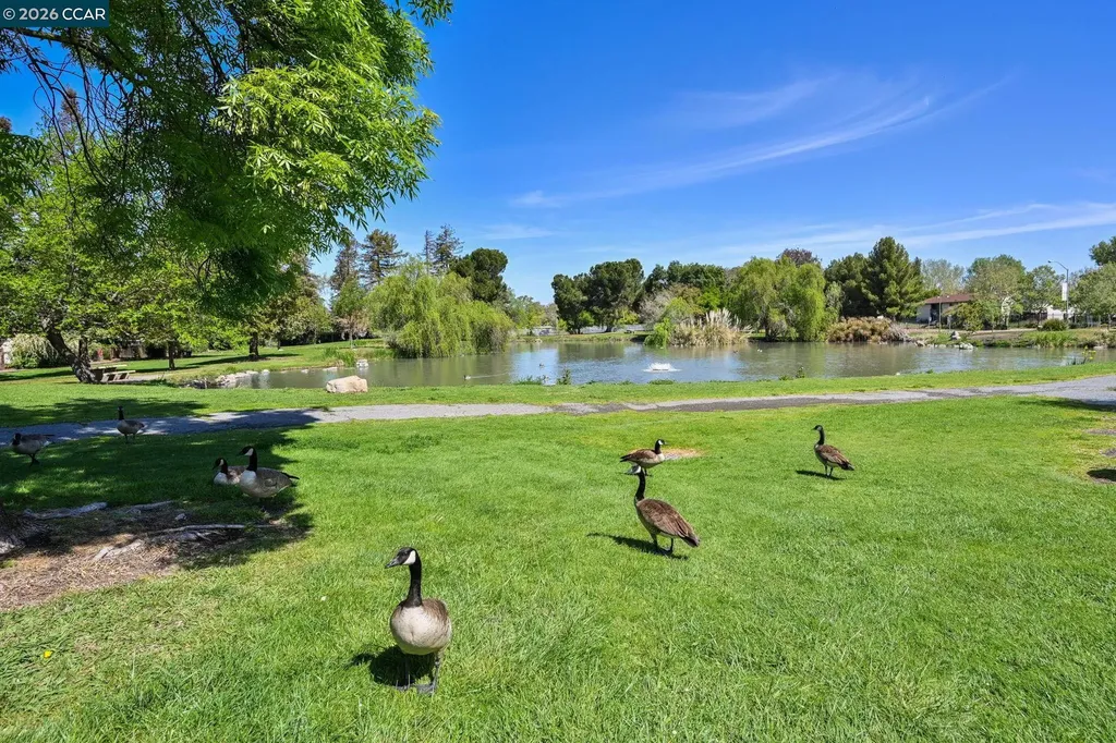 1954 6th Street Concord CA 94519