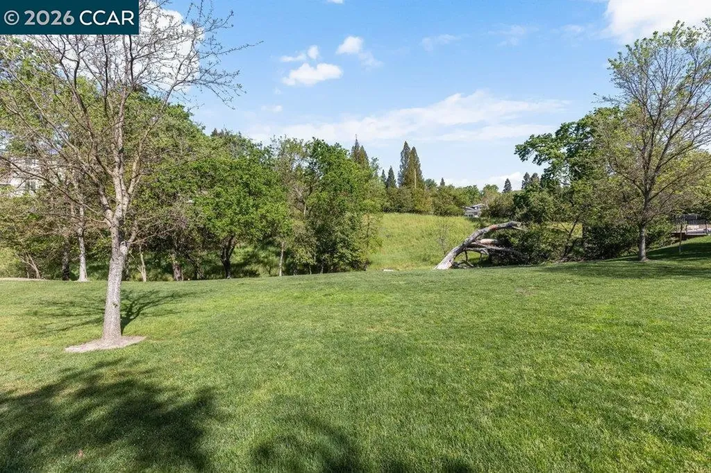 172 Sugarloaf Court Alamo CA 94507