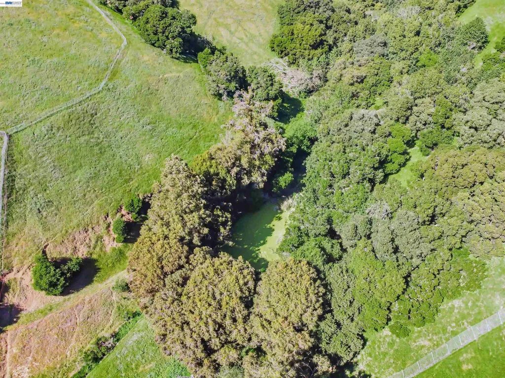 41794 Vargas Road Fremont CA 94539