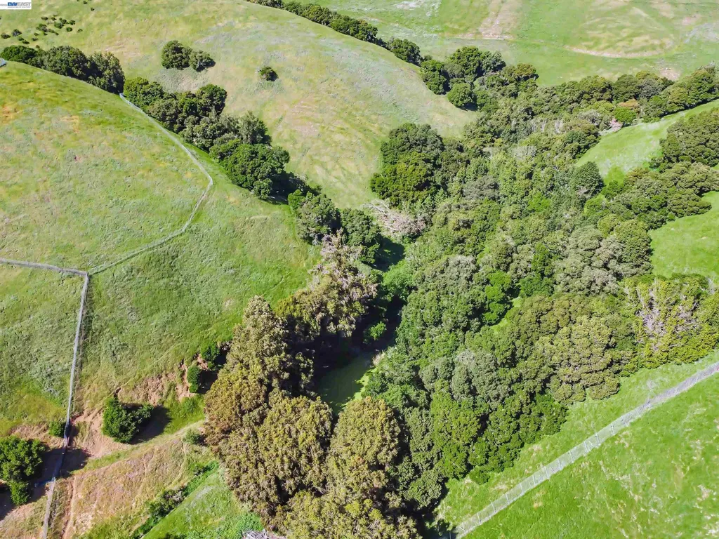 41794 Vargas Road Fremont CA 94539