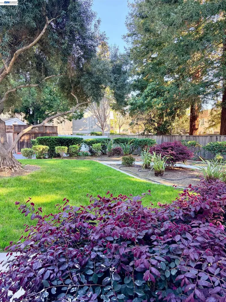 38508 Mary Terrace Fremont CA 94538