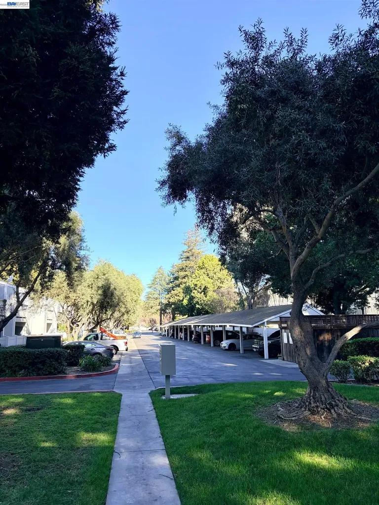 38508 Mary Terrace Fremont CA 94538