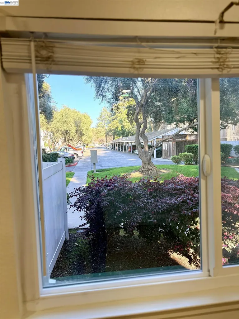 38508 Mary Terrace Fremont CA 94538
