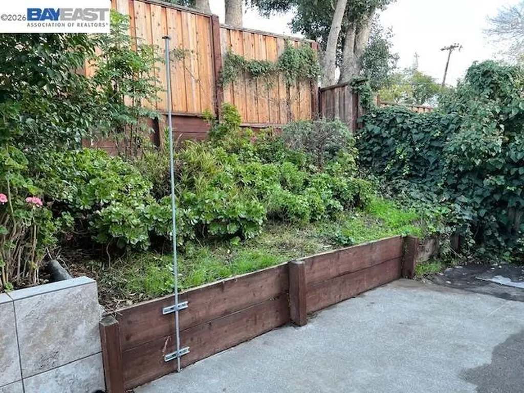 1594 Morgan Walnut Creek CA 94596
