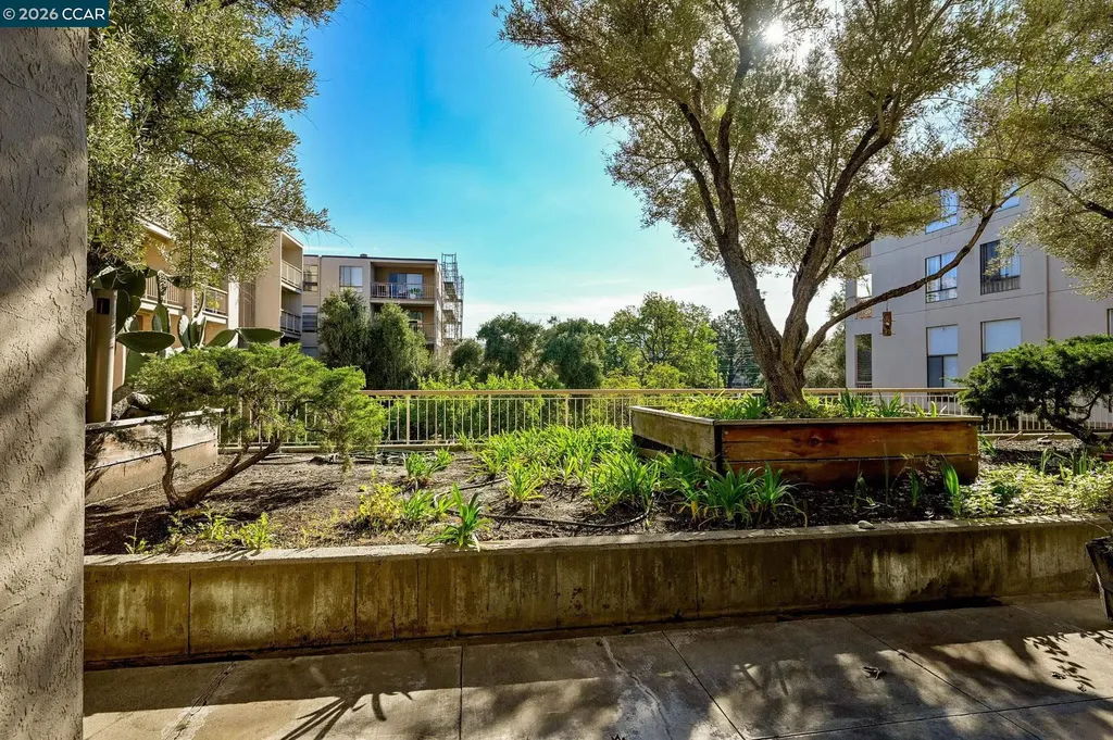 430 Civic Drive Walnut Creek CA 94596