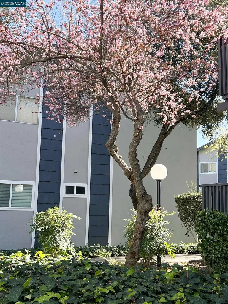 9085 Alcosta Boulevard San Ramon CA 94583