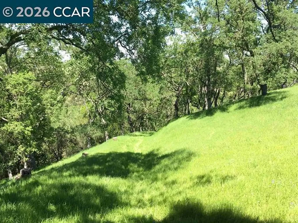 283 Castle Hill Ranch Road Walnut Creek CA 94595