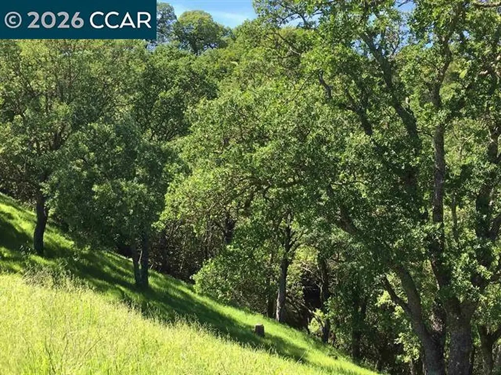 283 Castle Hill Ranch Road Walnut Creek CA 94595