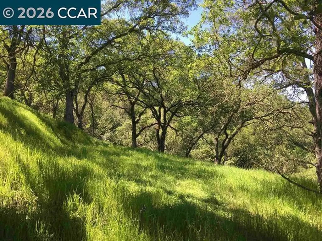 283 Castle Hill Ranch Road Walnut Creek CA 94595