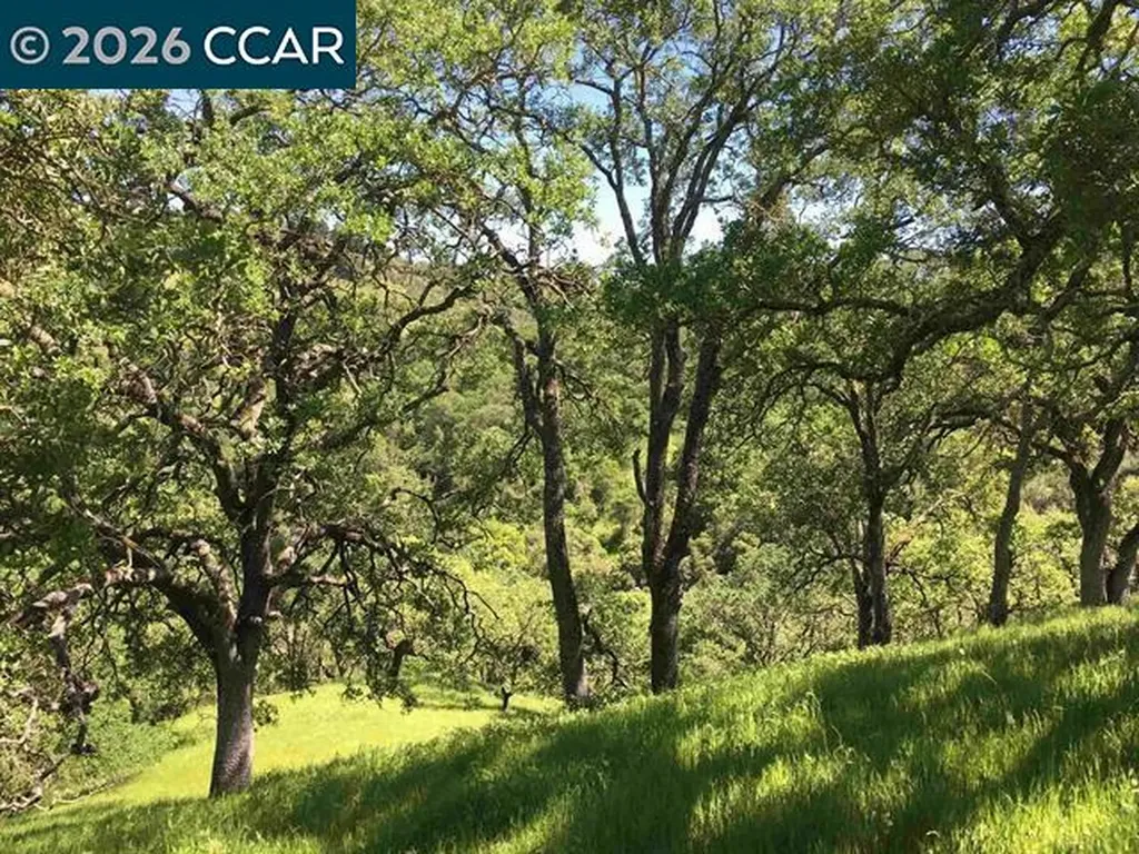283 Castle Hill Ranch Road Walnut Creek CA 94595