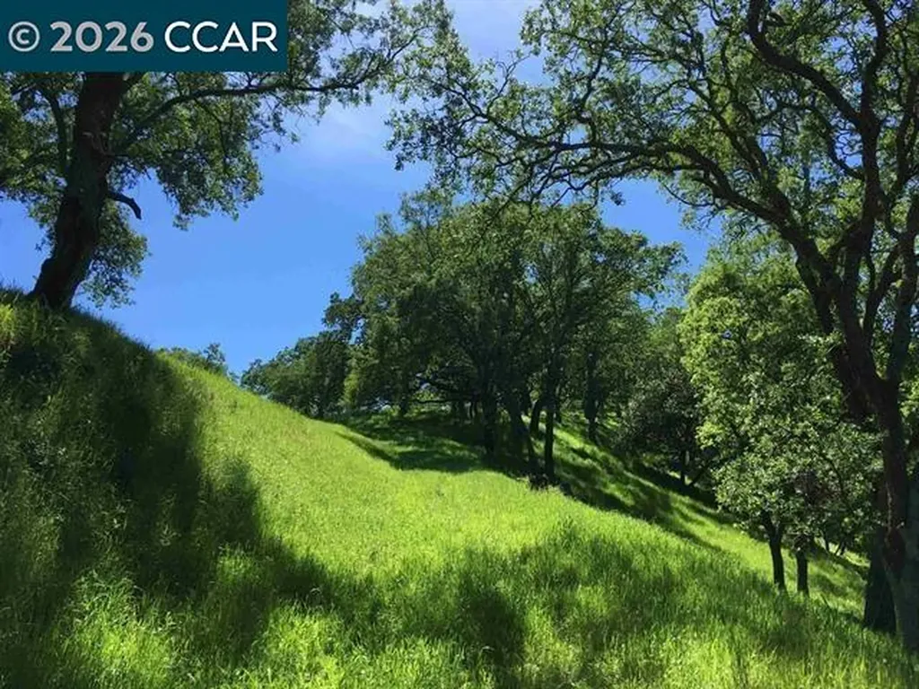 283 Castle Hill Ranch Road Walnut Creek CA 94595