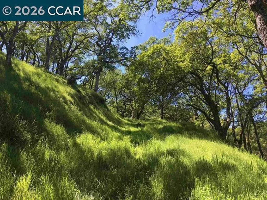 283 Castle Hill Ranch Road Walnut Creek CA 94595