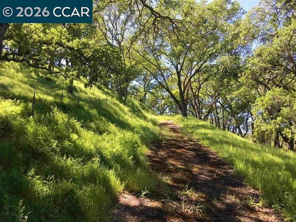 283 Castle Hill Ranch Road Walnut Creek CA 94595