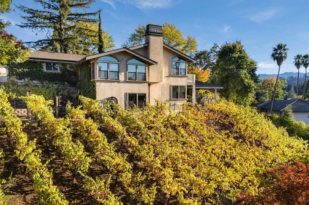 13 Kemp Court Alamo CA 94507