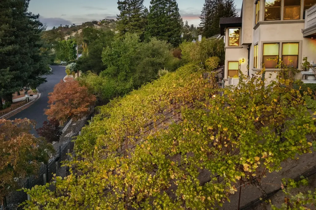 13 Kemp Court Alamo CA 94507