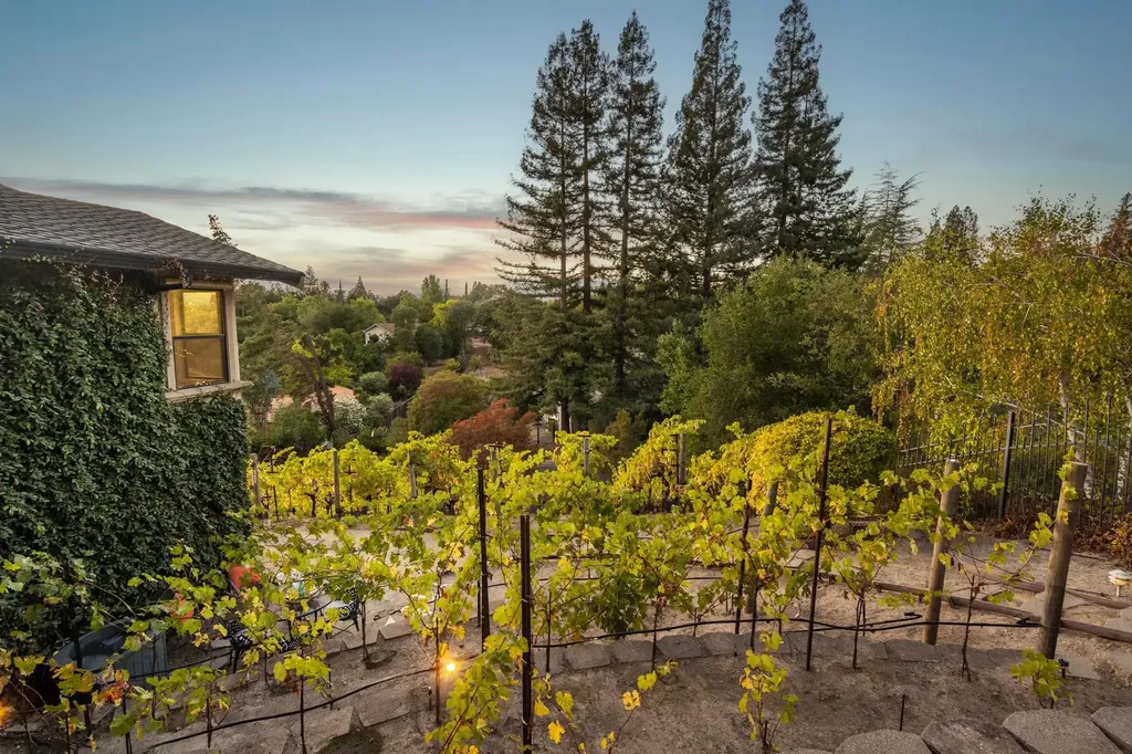 13 Kemp Court Alamo CA 94507