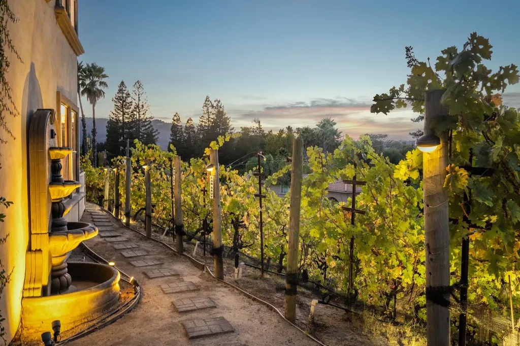 13 Kemp Court Alamo CA 94507