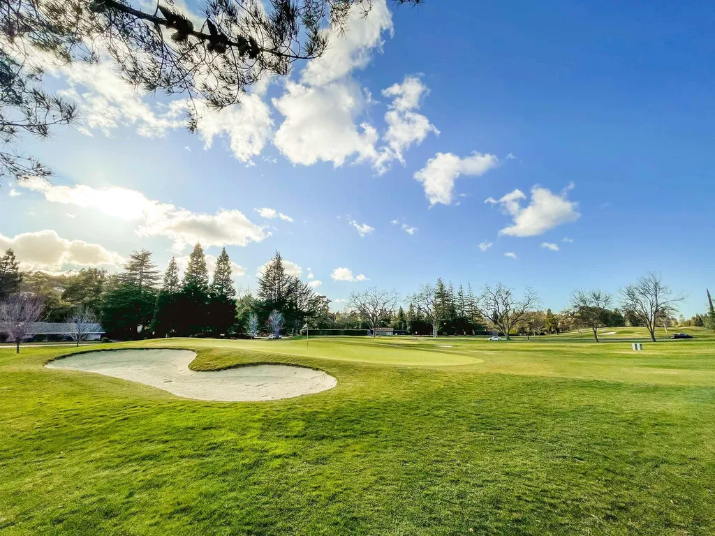 13 Kemp Court Alamo CA 94507