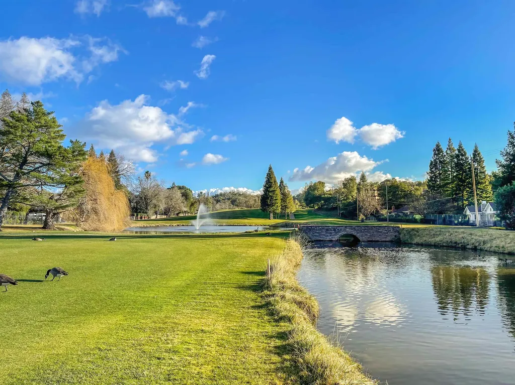 13 Kemp Court Alamo CA 94507